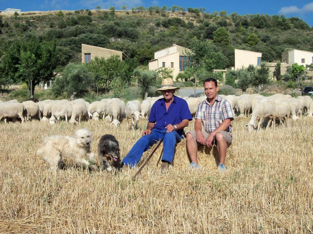 Alén D'Aragón Vendégház Santa Eulalia de Gállego Kültér fotó